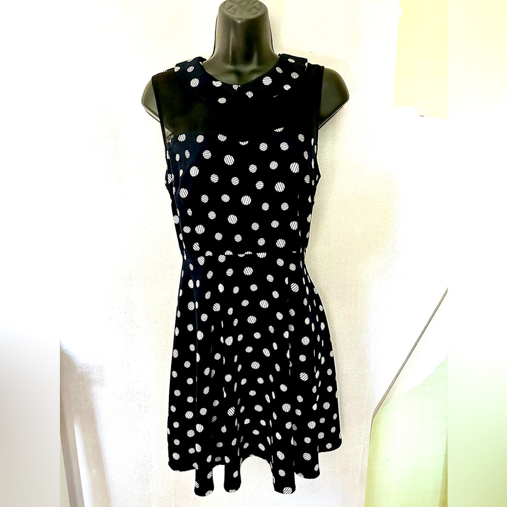 Black and White Fit and Flare Mini Dress with Peter Pan Collar